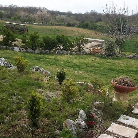 B&B Nuzzi Cassano delle Murge Zewnętrze zdjęcie