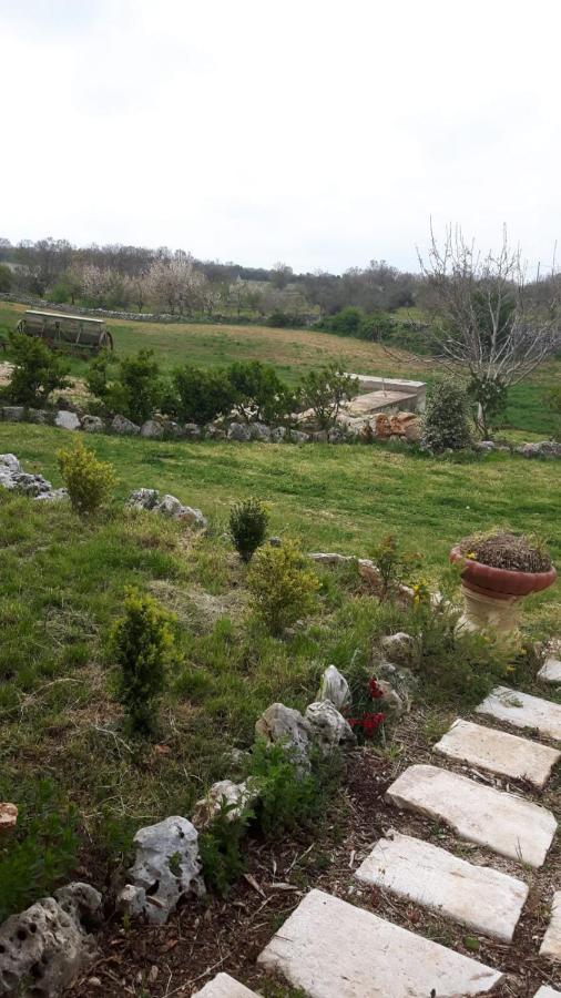B&B Nuzzi Cassano delle Murge Zewnętrze zdjęcie