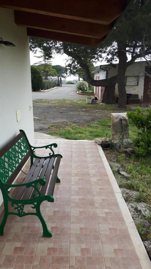 B&B Nuzzi Cassano delle Murge Zewnętrze zdjęcie