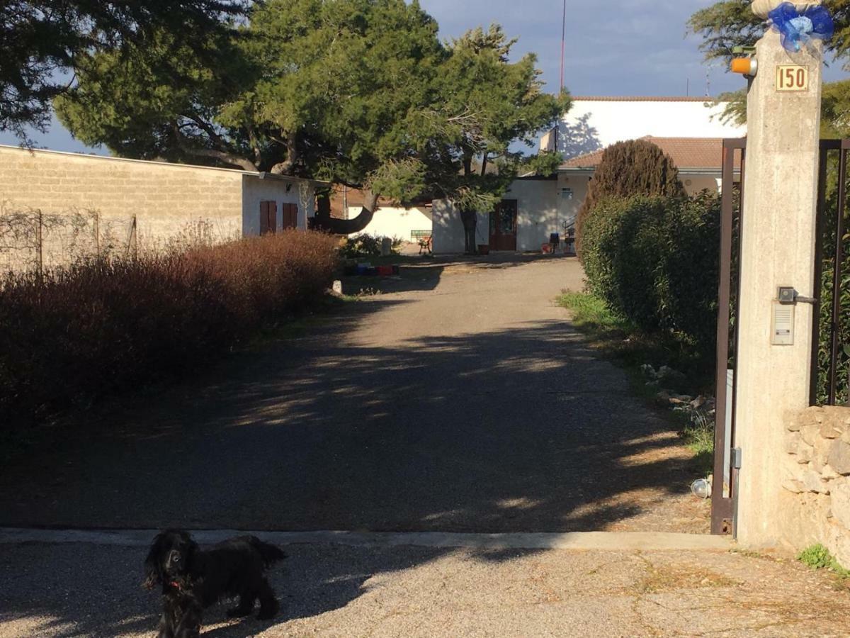 B&B Nuzzi Cassano delle Murge Zewnętrze zdjęcie